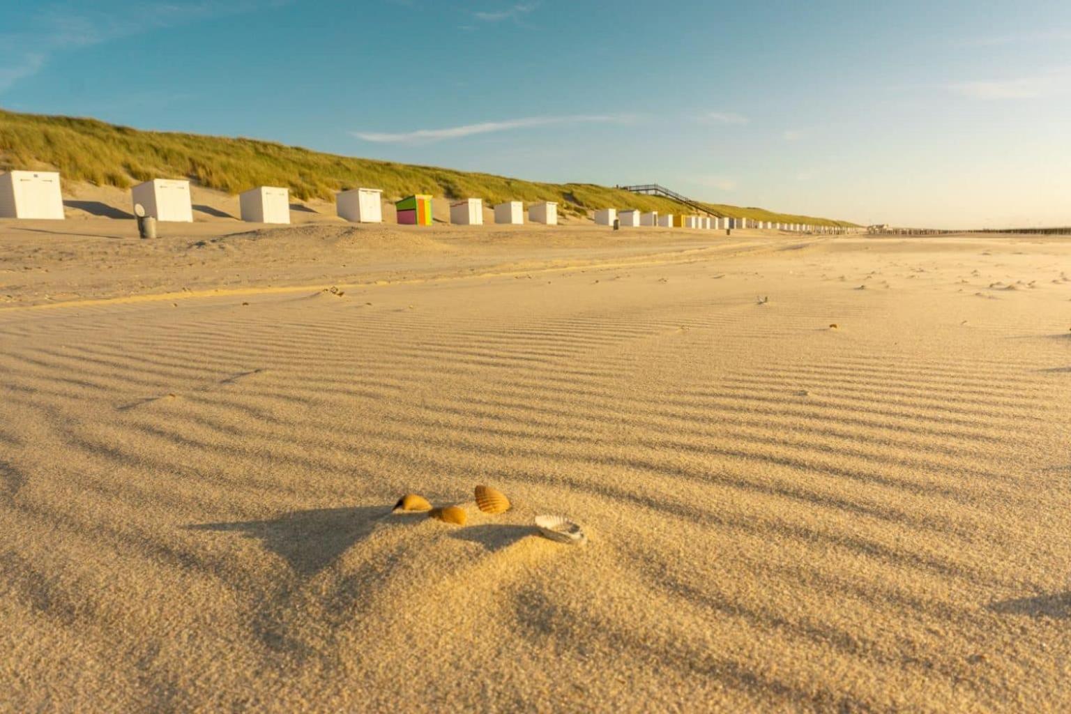 'Relax Lodge Sea' - Wellness Lodge In Zeeland - Private Sauna - Airco - Garden - Outdoor Swimming Pool - Free Wifi, Towels & Bed Linen Heinkenszand المظهر الخارجي الصورة